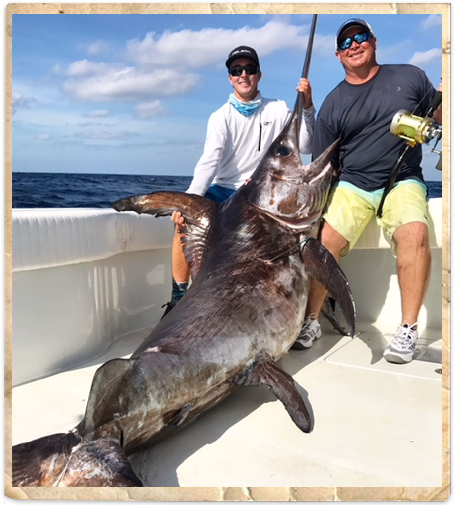 Florida Keys Daytime & Night Time Swordfishing ChartersBud n' Mary's Islamorada  Fishing Marina