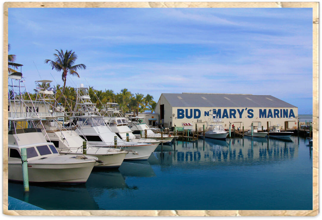 Rental_boats_fleet_islamorada