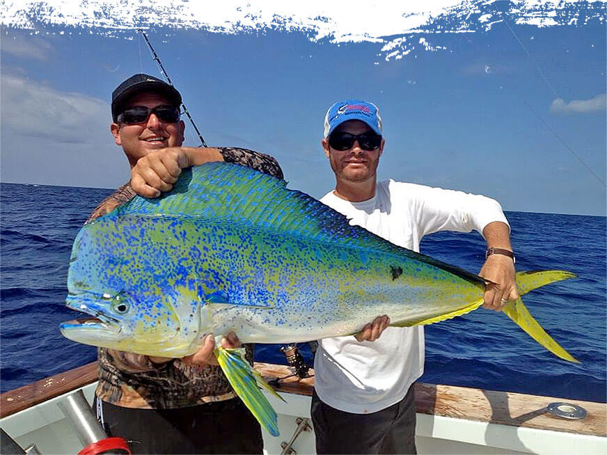 Charleston Mahi Mahi Fishing