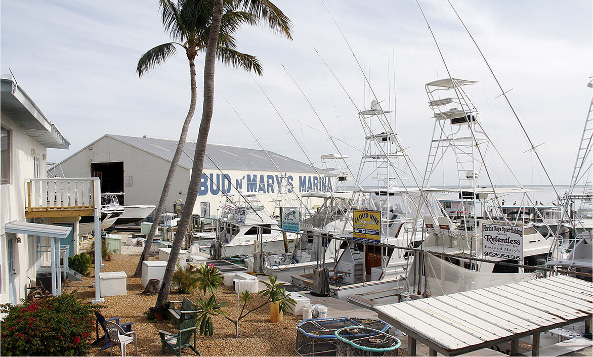 About Bud N Marys Islamorada, Florida Keys Fishing Marina - Bud N
