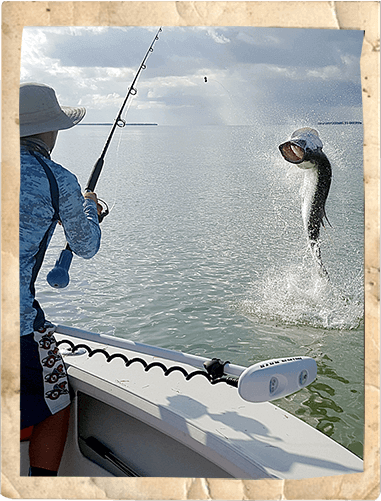 Tarpon Fishing