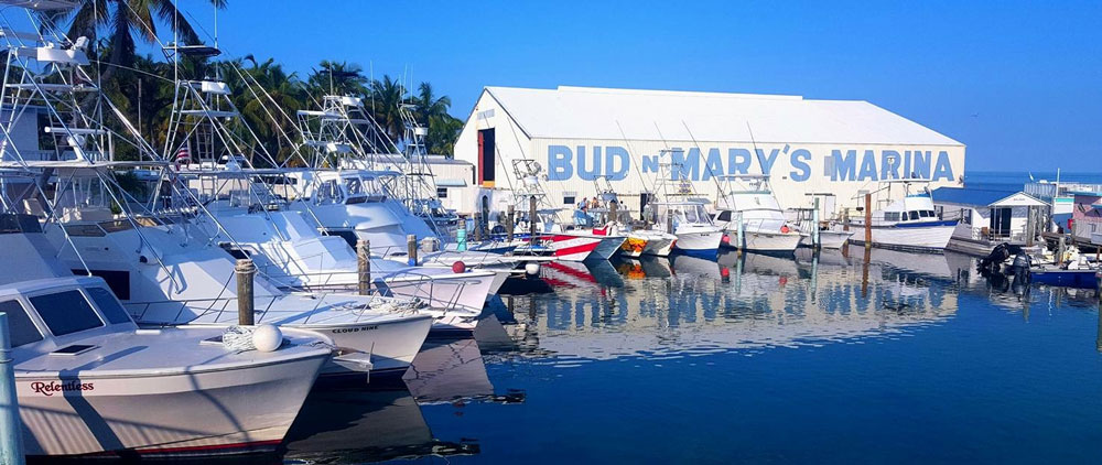 Islamorada Boat Rentals Bud N Mary S Islamorada Fishing Marinabud N Mary S Islamorada Fishing Marina