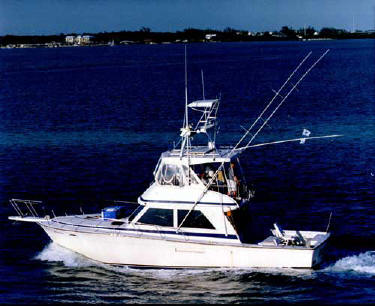Red Fish