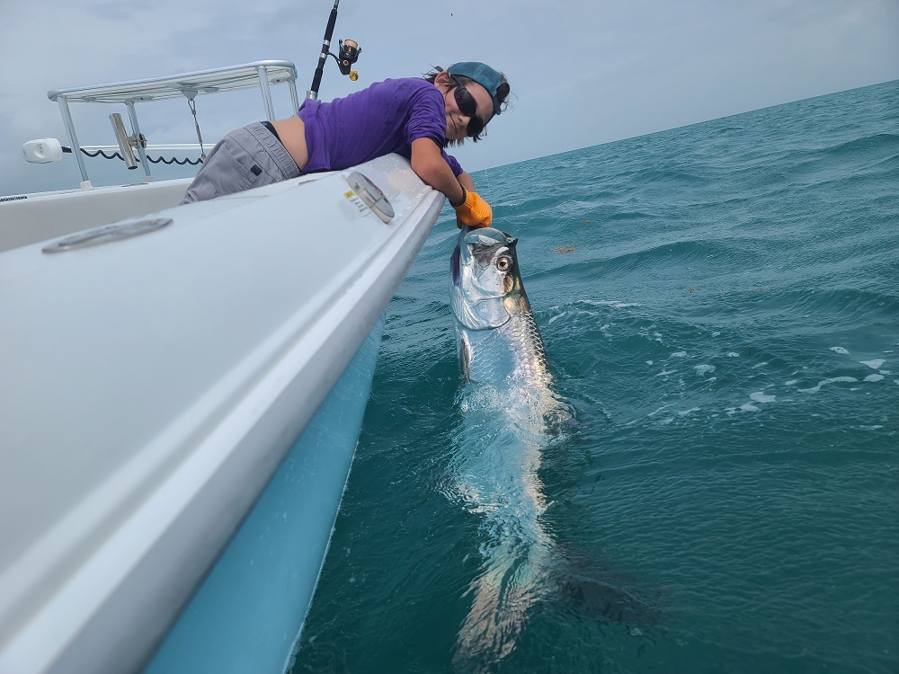 Awsome bridge fishing for tarpon in early june!