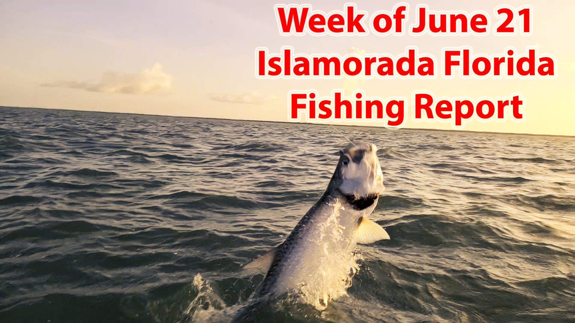 End of June Backcountry Fishing Report