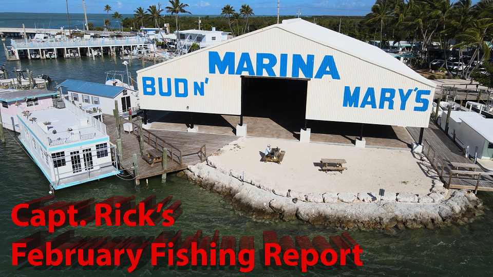 End of February fishing report for islamorada backcountry!