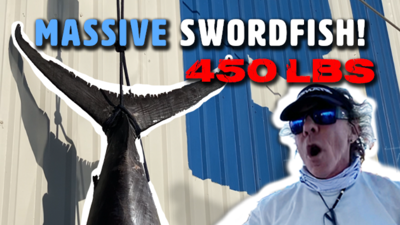 Late February ‘Dock Walk’ – 450# Swordfish!