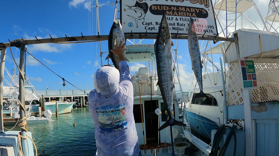 Early February ‘dock walk’ fishing report with Barry!