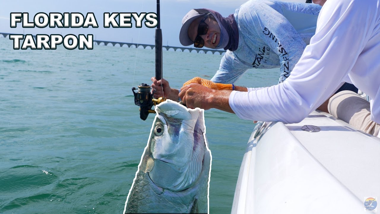 Bridge Tarpon Fishing in April!